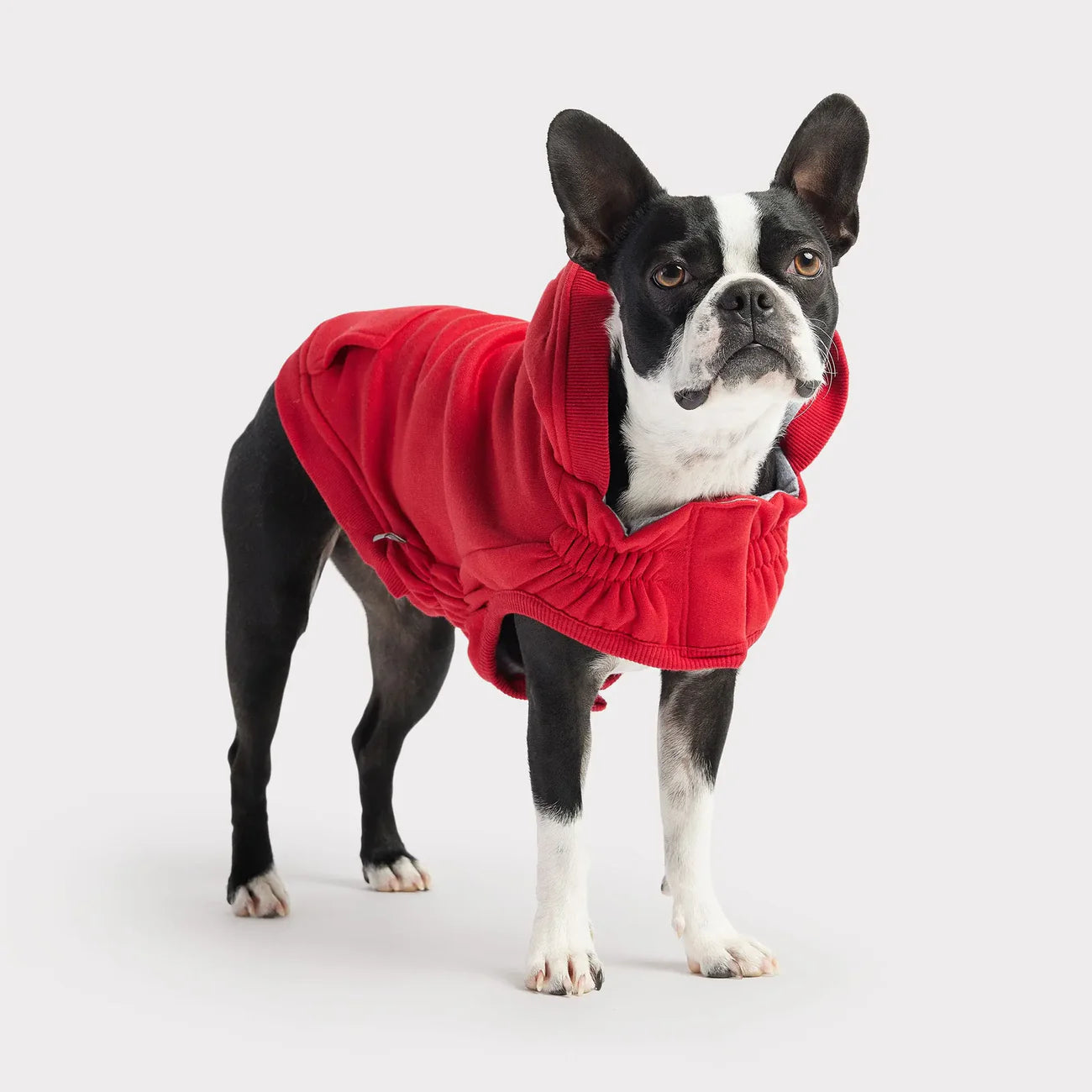 GF Pet Elasto-Fit Urban Dog Hoodie