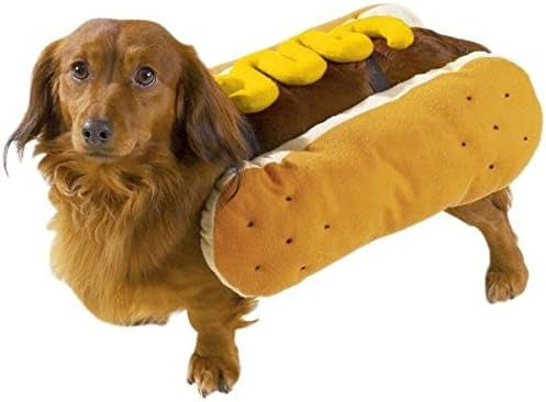 Casual Canine Hot Diggity Dog Costume